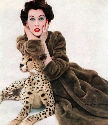 A photograph of model Dovima from 1955