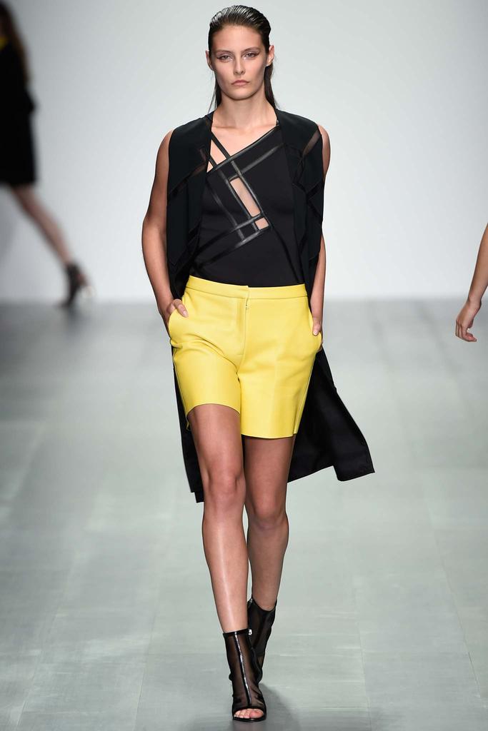David Koma - Spring-Summer 2015