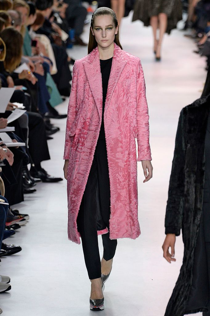 Christian Dior - Fall 2014-Winter 2015