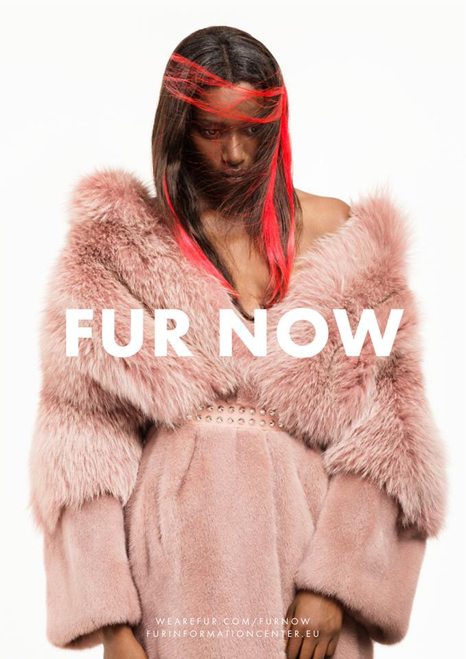 2014/15 #FURNOW ad campaign