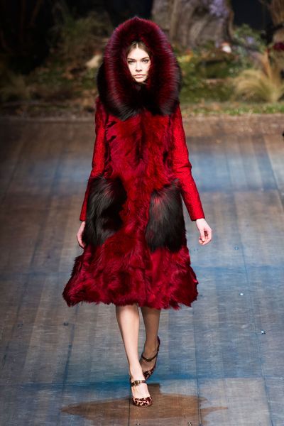 Dolce & Gabbana - Fall 2014-Winter 2015