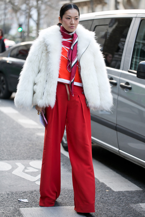 Street style - Paris RTW fall winter 2016 - March 2016