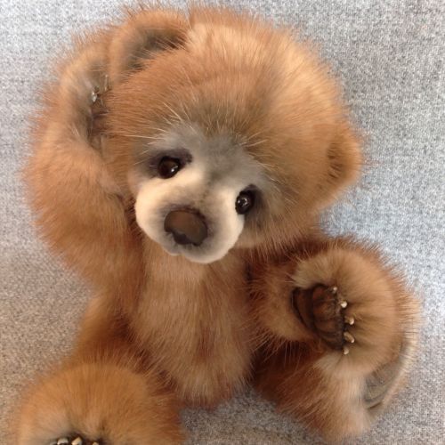 Who could resist a fur teddy bear