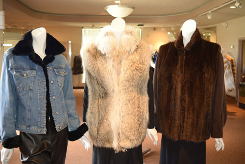 Pictured are five examples of Alaskan Fur Company styles that can be made from your old fur. Our expert restyling staff can make your new fur into many fashionable styles. From left to right- (1) Turn your old mink into a darling new style, this mink stroller was made from a 25 year old mink coat (2) Mink zipper vest, can be made from a mink jacket, stroller or coat. (3) Trim your old jean jacket with a fur collar and cuffs. You can make them permanent or detachable, whichever you like. (4) This vest is made from an old coyote coat. We can take your old fur and make it into a new fun vest style that looks brand new. (5) Restyle the fur into a nice jacket with detachable ultra suede sleeves. We have many shades of suede to choose from to match your fur. These are just a few samples of the different styles we can create for you.