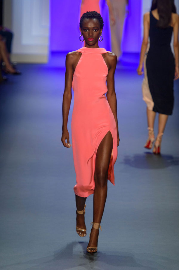 Cushnie et Ochs