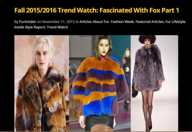 Fall 2015-2016 fox trends part 1