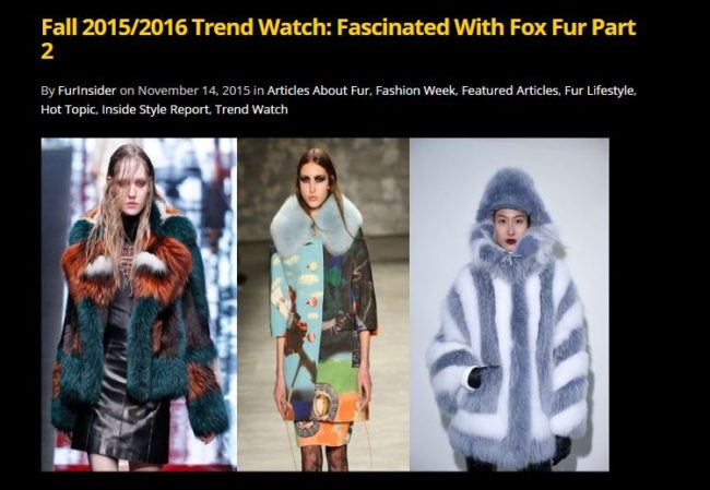 Fall 2015-2016 fox trends part 2