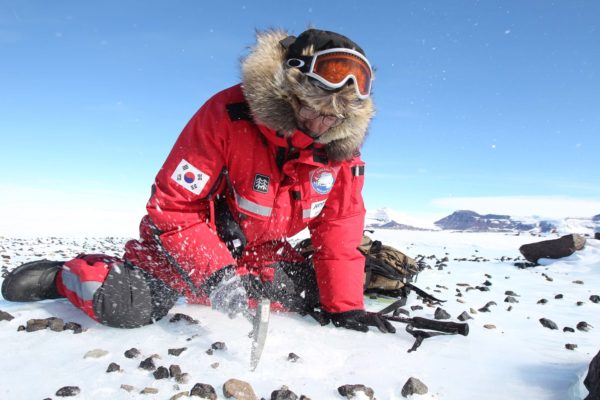 Scientist in Antarctica wearing cold weather fashion