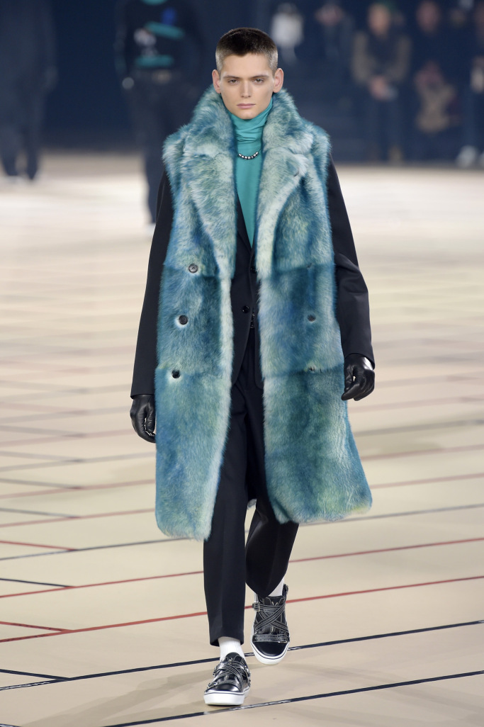 Dior Homme Menswear Fall 2017 collections
