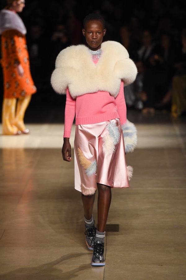 Miu Miu PARIS Fashion Week Fall 2017