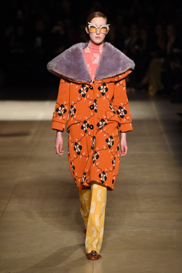 Miu Miu PARIS Fashion Week Fall 2017