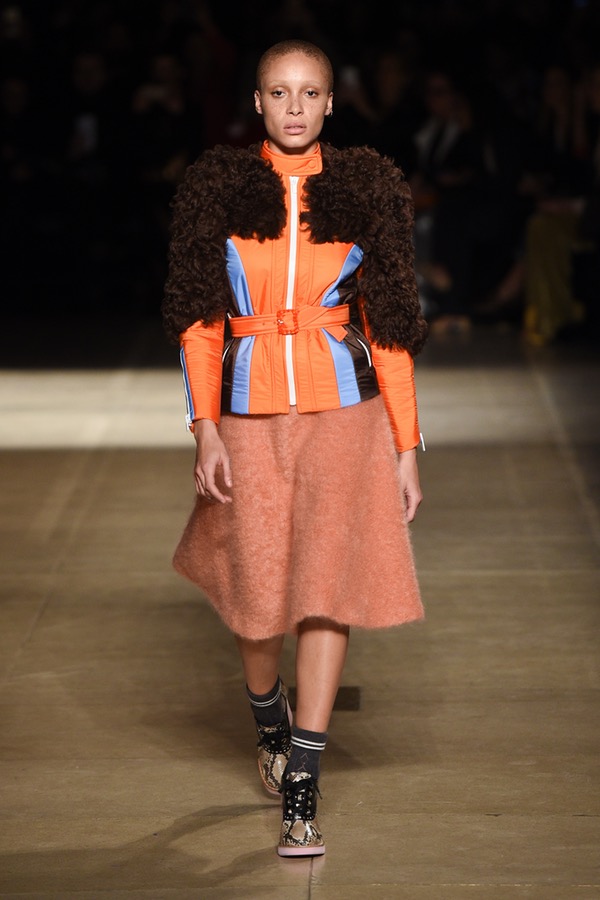 Miu Miu PARIS Fashion Week Fall 2017