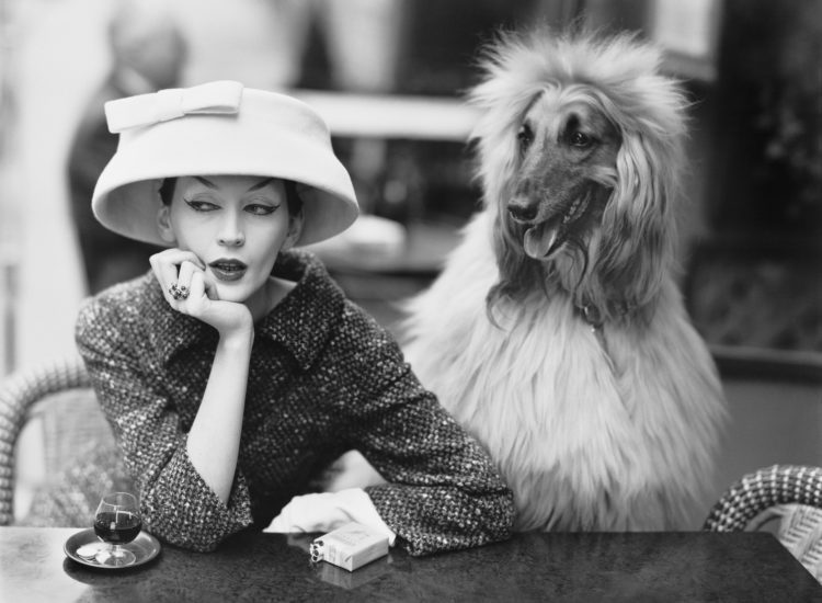 fashion history balenciaga and model dovima