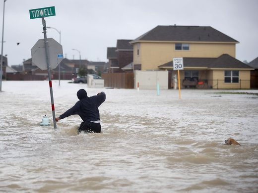 A person walks through a flooded street with a dog after the area was inundated with flooding from Hurricane Harvey