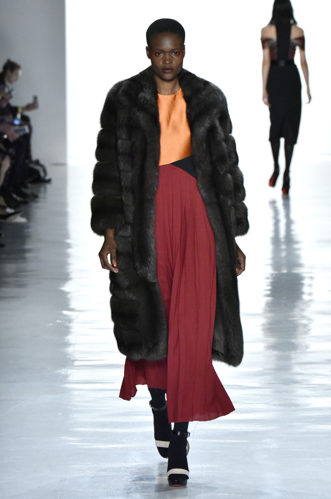 Bibhu Mohapatra RTW Fall 2017- UPTOWN SOPHISTICATE Arctic Blast