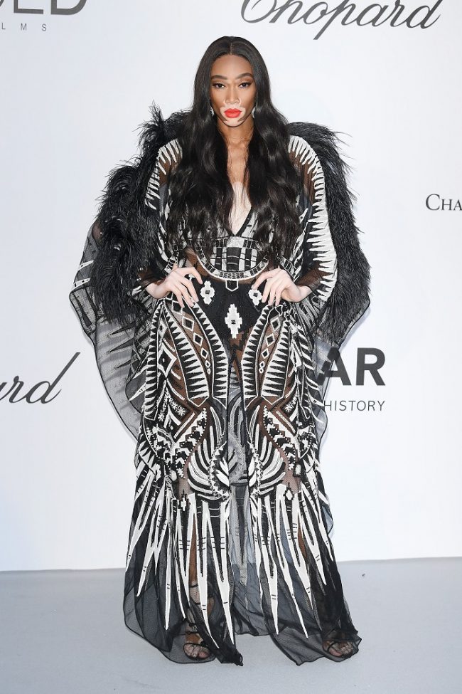 Winnie Harlow attended the amfAR Gala Dinner at the 2018 Cannes Film Festival