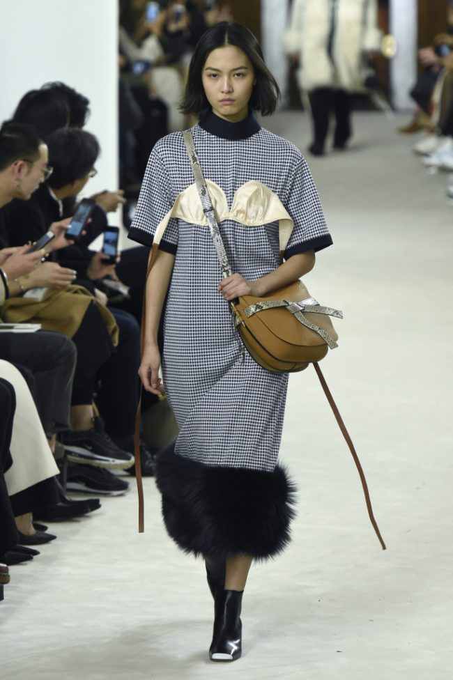 Loewe RTW Fall 2018 - Paris Fashion Week