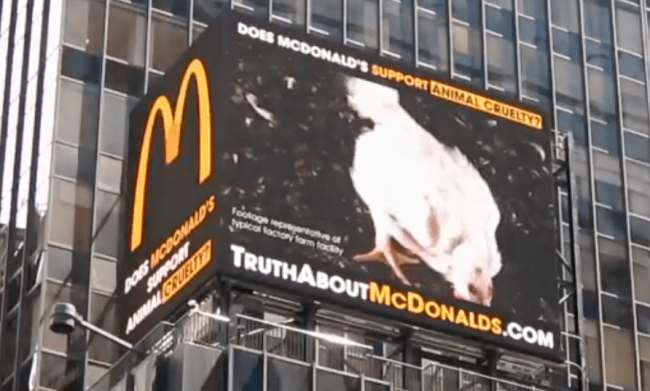 FUR Today…. Meat, Leather and Wool Tomorrow; they say. Just check out the recent billboards in New York’s Times Square targeting Mc Donalds.  Help stop harmful fur bans and the war on fashion