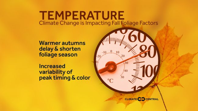 climate predictors to initiate closet swap