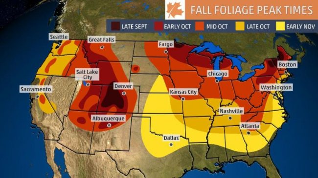 climate predictors to initiate closet swap