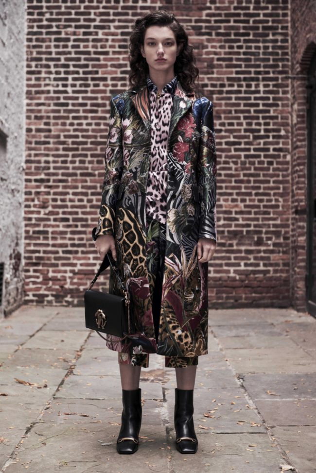 Pre-fall 2019 collections