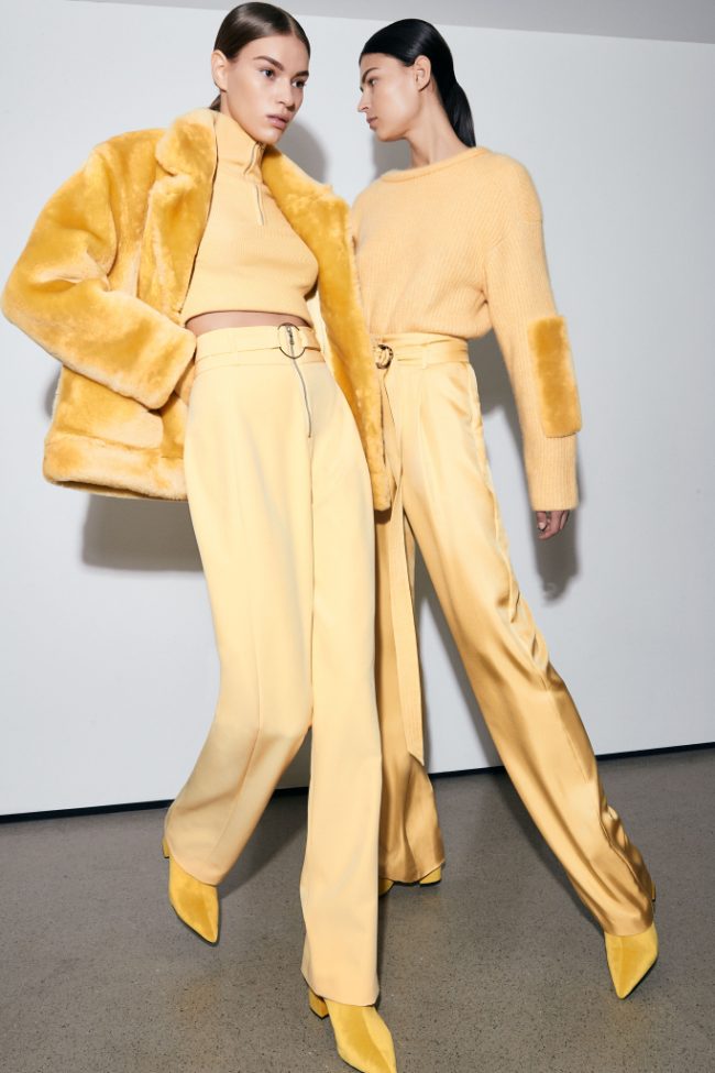 Pre-fall 2019 collections