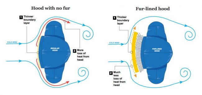 polar vortex winter 2019