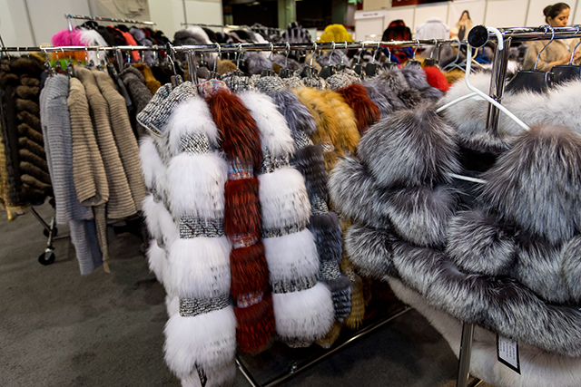 2019 ILOE Show Fur Trends