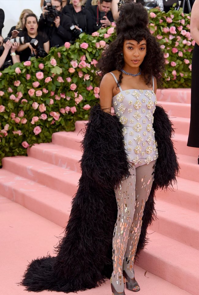 2019 Met Gala