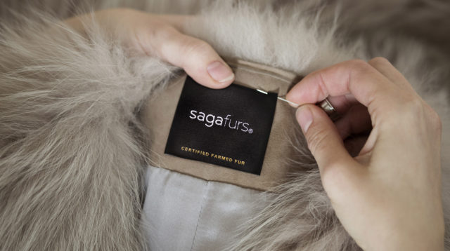Saga Furs Design Centre
